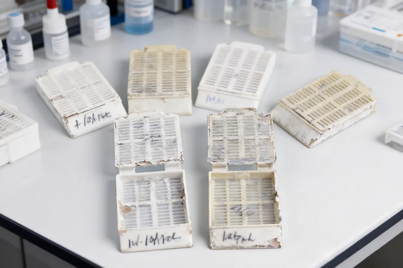 Tissue cassettes passing through histology reagent processing