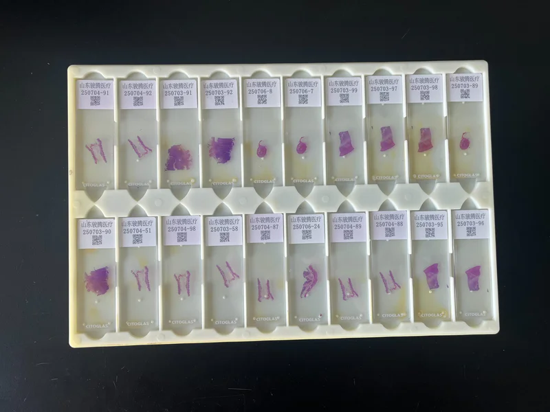 Finished slides with clean edges after film coverslipping