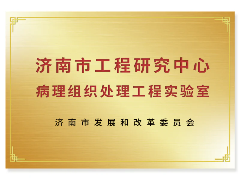 Jinan Histopathology Processing Engineering Laboratory | Junteng Medical